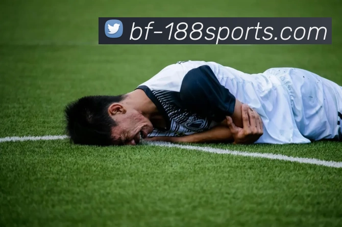 App Interface Preview